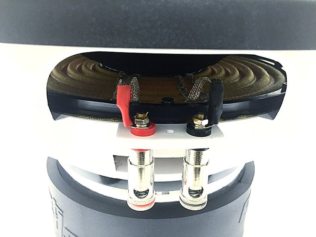 Resilient Sounds Gold 12 Leads